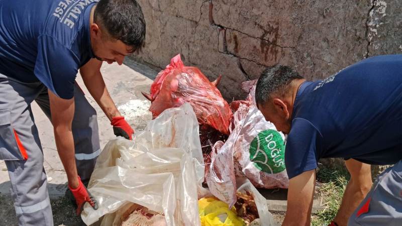 Kavga ettiği amcasını sokak ortasında tabancayla vurdu