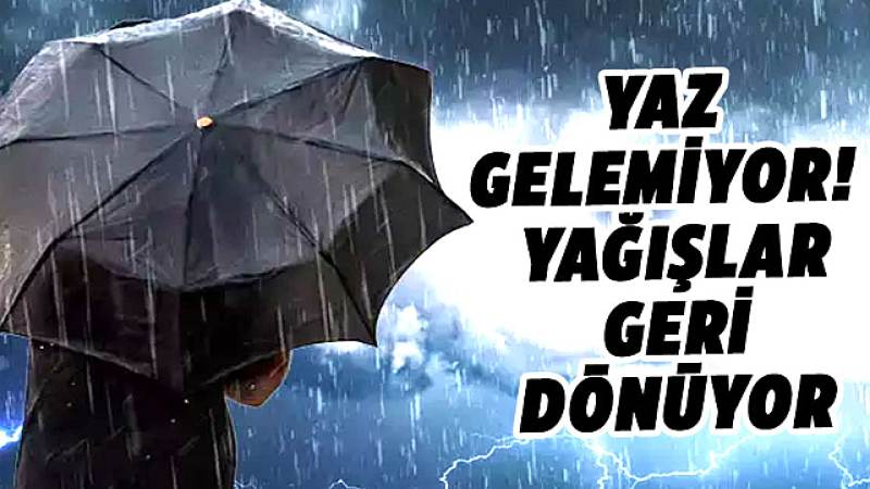 Kavga ettiği amcasını sokak ortasında tabancayla vurdu