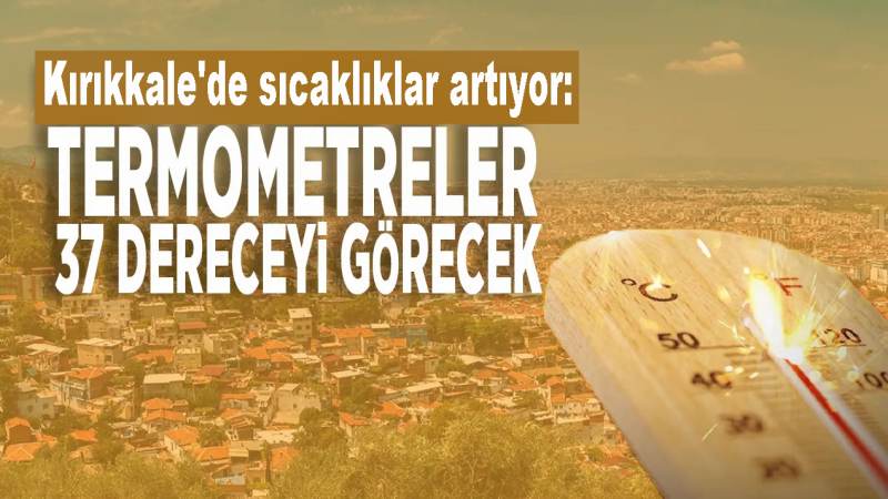 Kavga ettiği amcasını sokak ortasında tabancayla vurdu